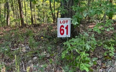 LT61&62 Honeysuckle Way, Ellijay GA 30540 - Photo