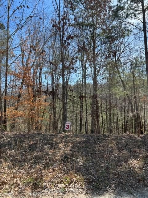 LT 3 Hunter Ridge, Ellijay GA 30540 - Photo