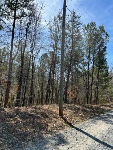 LT 3 Hunter Ridge, Ellijay GA 30540 - Primary photo