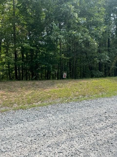 LT 3 Hunter Ridge, Ellijay GA 30540 - Photo