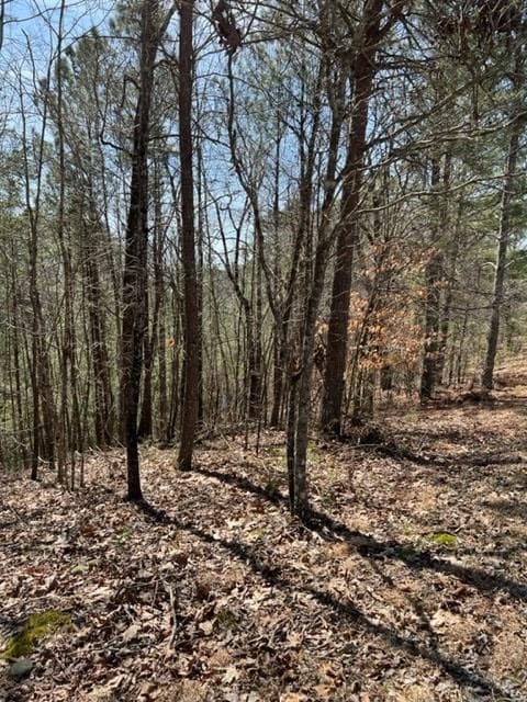 LT 4 Hunter Ridge, Ellijay GA 30540 - Photo
