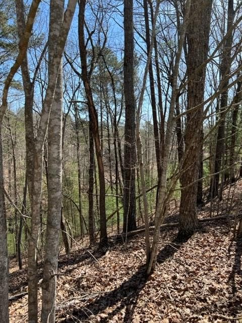 LT 4 Hunter Ridge, Ellijay GA 30540 - Photo