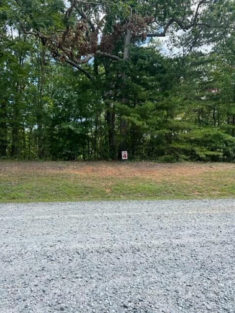 LT 4 Hunter Ridge, Ellijay GA 30540 - Photo