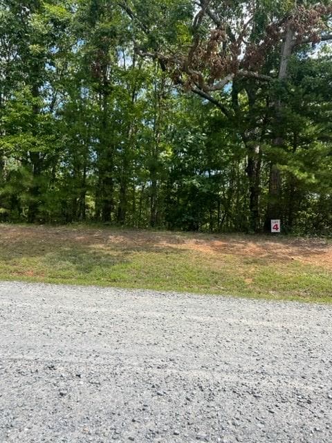 LT 4 Hunter Ridge, Ellijay GA 30540 - Photo