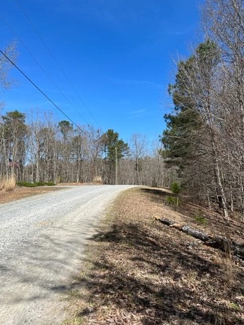 LT 4 Hunter Ridge, Ellijay GA 30540 - Photo