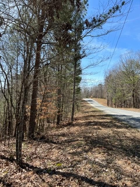 LT 4 Hunter Ridge, Ellijay GA 30540 - Photo