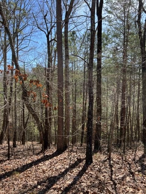 LT 4 Hunter Ridge, Ellijay GA 30540 - Primary photo
