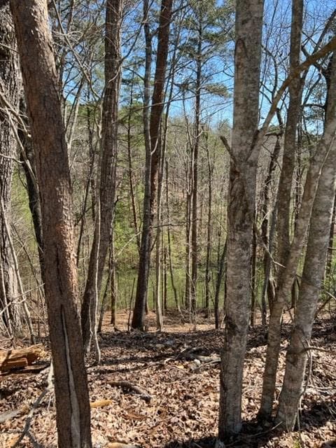 LT 4 Hunter Ridge, Ellijay GA 30540 - Photo