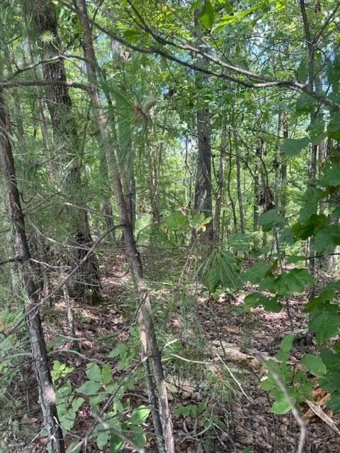 LT 4 Hunter Ridge, Ellijay GA 30540 - Photo