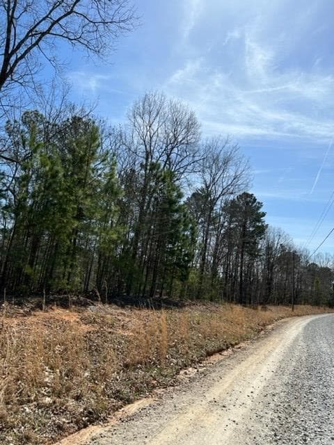 LT 4 Hunter Ridge, Ellijay GA 30540 - Photo