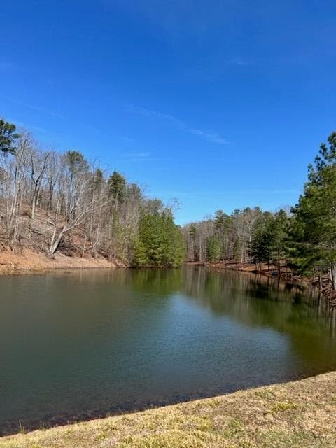 LT 4 Hunter Ridge, Ellijay GA 30540 - Photo