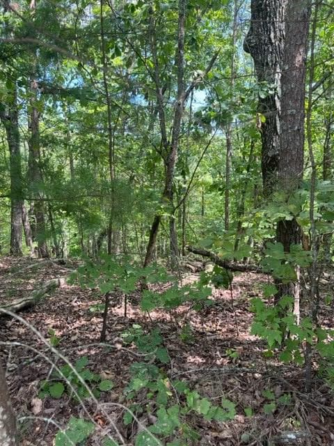 LT 4 Hunter Ridge, Ellijay GA 30540 - Photo
