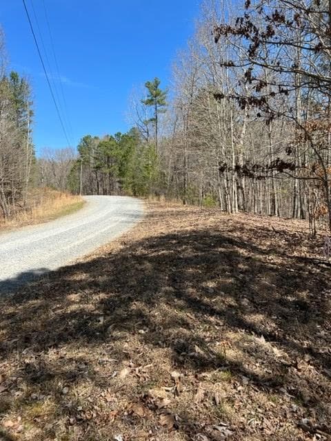 LT 4 Hunter Ridge, Ellijay GA 30540 - Photo