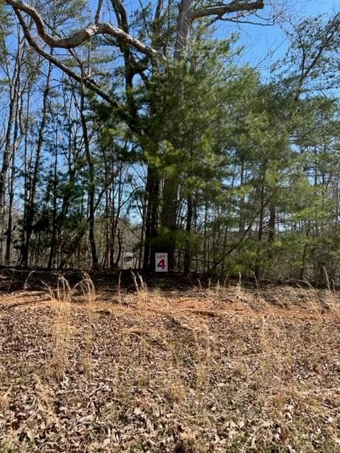 LT 4 Hunter Ridge, Ellijay GA 30540 - Photo