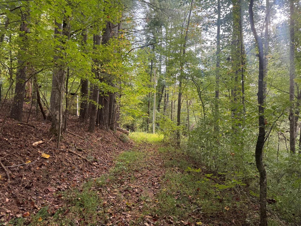 Lot 7 Double Creek Drive, Suches GA 30572 - Photo