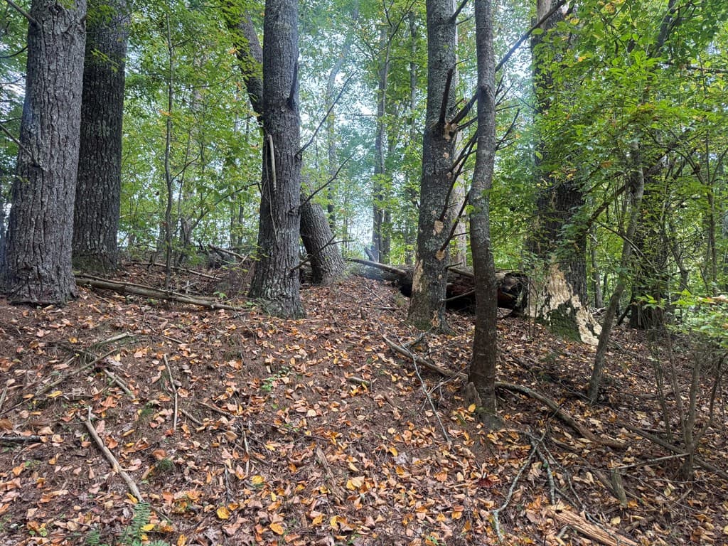 Lot 7 Double Creek Drive, Suches GA 30572 - Photo