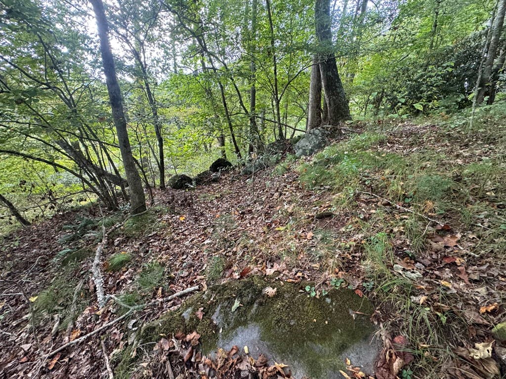 Lot 7 Double Creek Drive, Suches GA 30572 - Photo