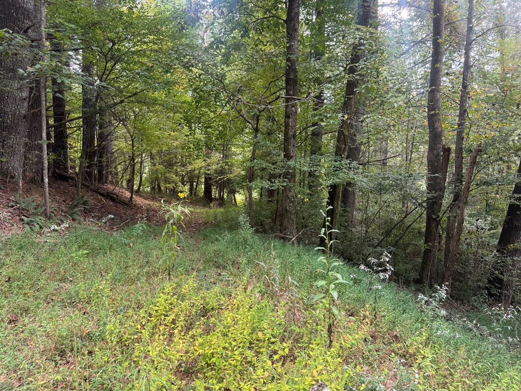 Lot 7 Double Creek Drive, Suches GA 30572 - Photo