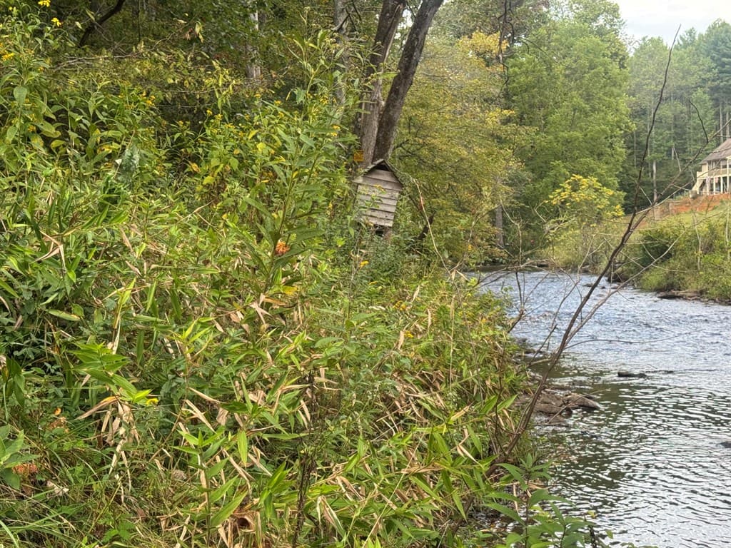 Lot 7 Double Creek Drive, Suches GA 30572 - Photo