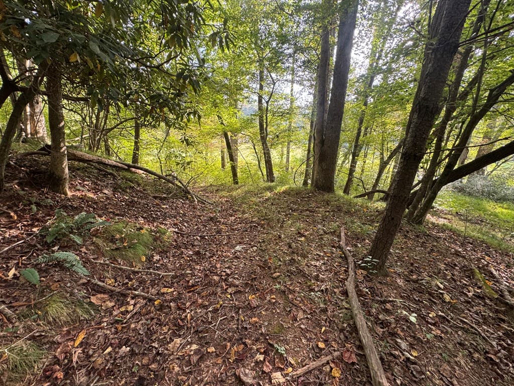 Lot 7 Double Creek Drive, Suches GA 30572 - Photo