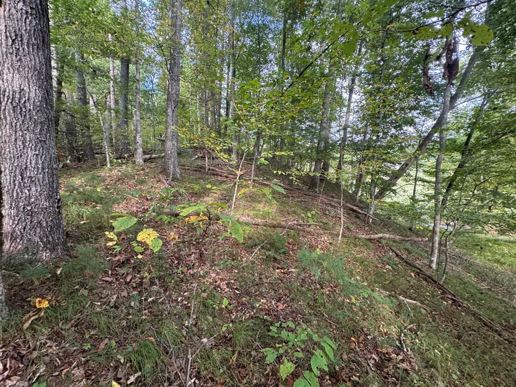 Lot 7 Double Creek Drive, Suches GA 30572 - Photo