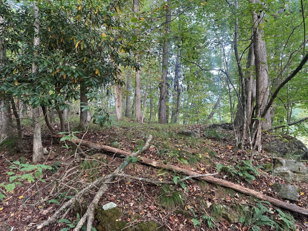 Lot 7 Double Creek Drive, Suches GA 30572 - Photo