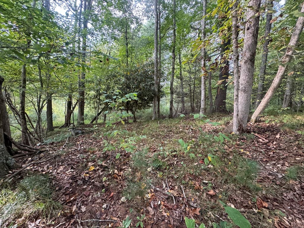 Lot 7 Double Creek Drive, Suches GA 30572 - Photo