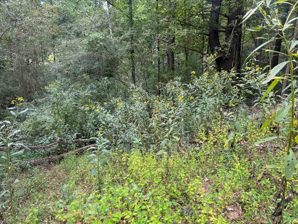 Lot 7 Double Creek Drive, Suches GA 30572 - Photo