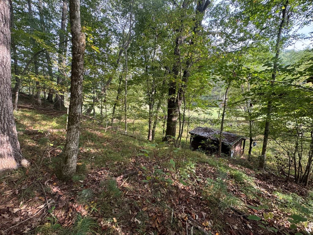 Lot 7 Double Creek Drive, Suches GA 30572 - Photo