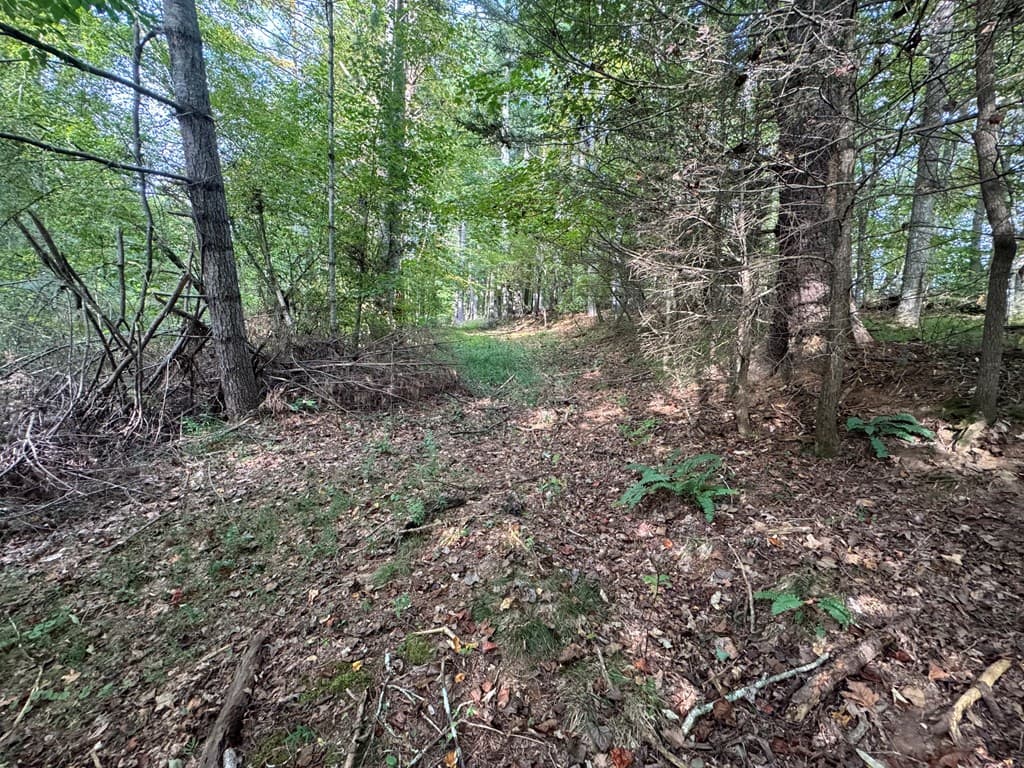 Lot 7 Double Creek Drive, Suches GA 30572 - Photo