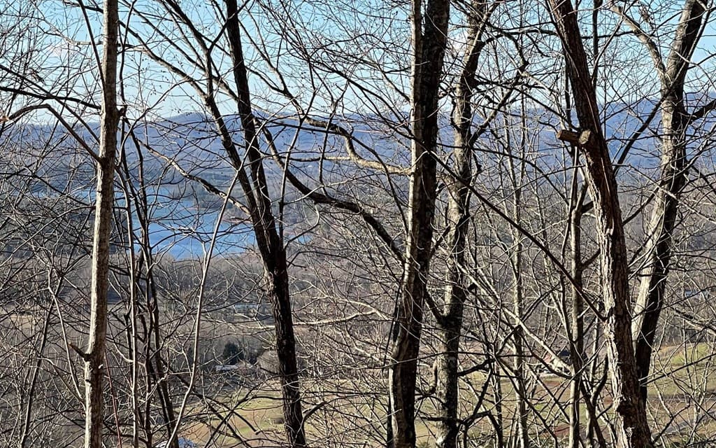 Lot 63 Dan Knob, Hayesville NC 28904 - Photo