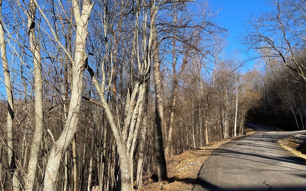 Lot 63 Dan Knob, Hayesville NC 28904 - Photo