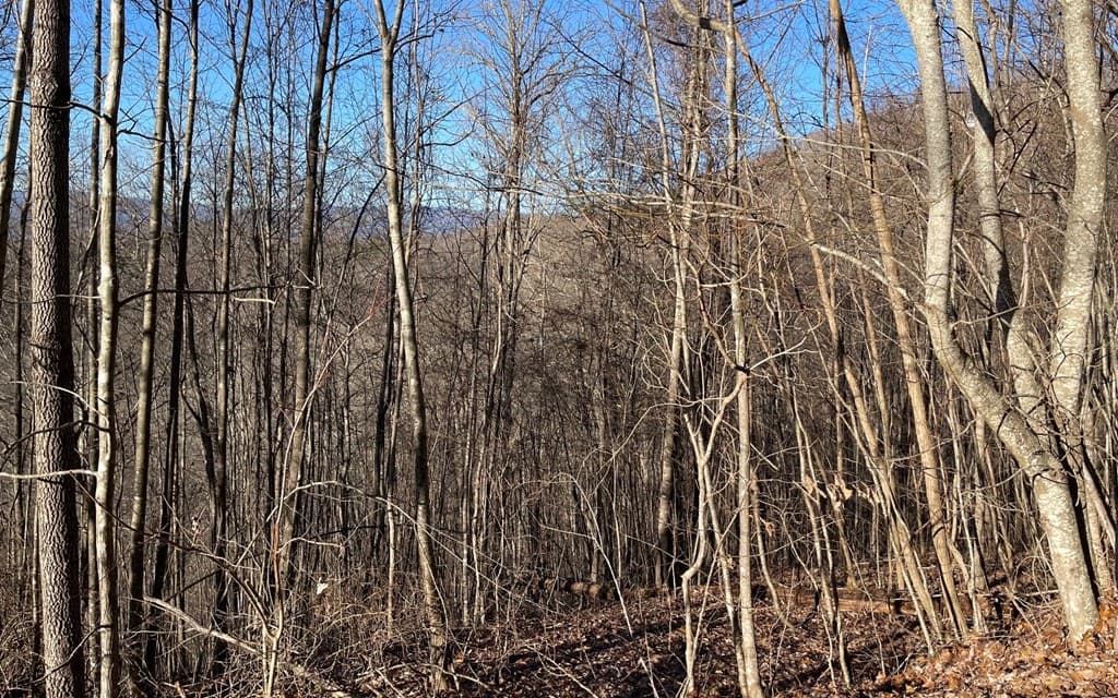 Lot 63 Dan Knob, Hayesville NC 28904 - Photo