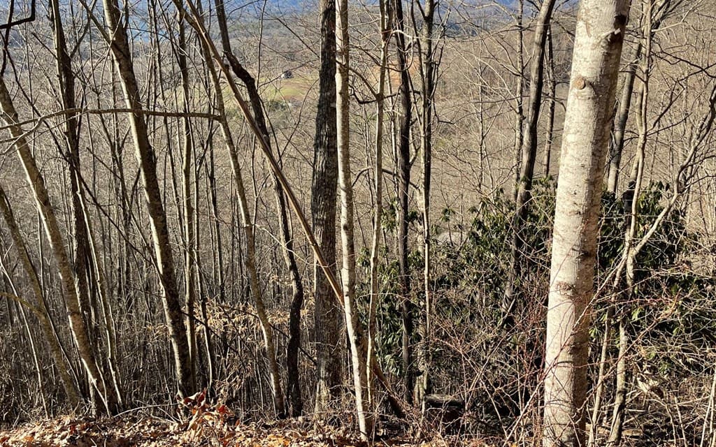 Lot 63 Dan Knob, Hayesville NC 28904 - Photo