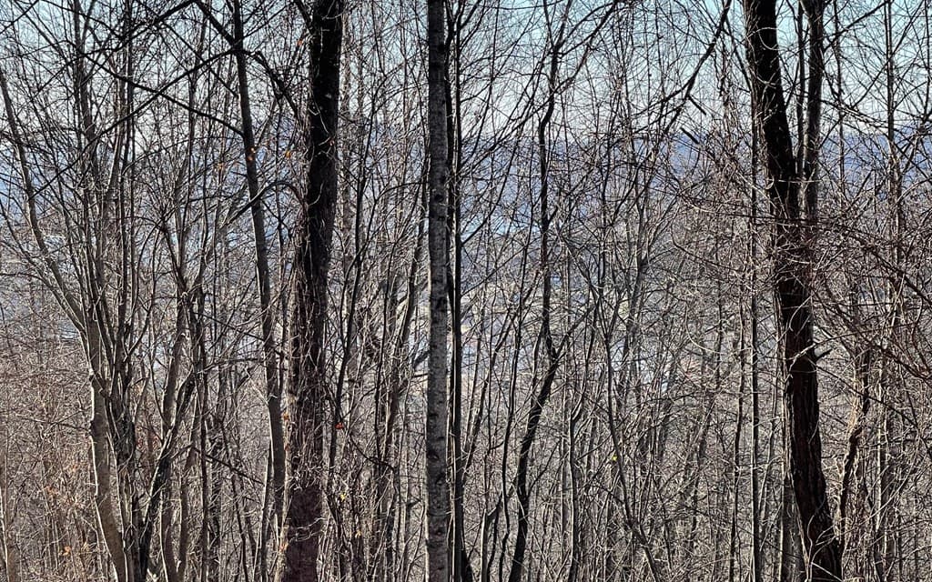 Lot 63 Dan Knob, Hayesville NC 28904 - Photo