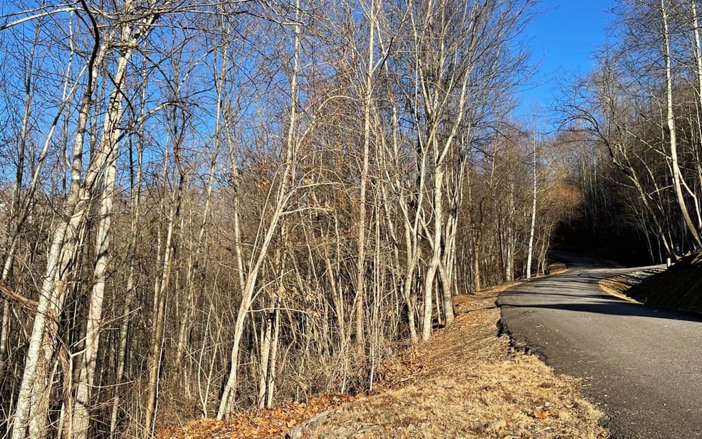 Lot 63 Dan Knob, Hayesville NC 28904 - Photo