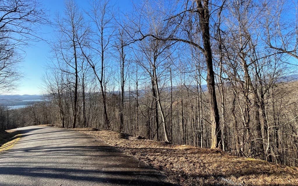 Lot 63 Dan Knob, Hayesville NC 28904 - Photo