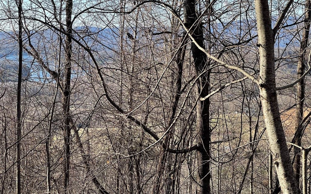 Lot 63 Dan Knob, Hayesville NC 28904 - Photo