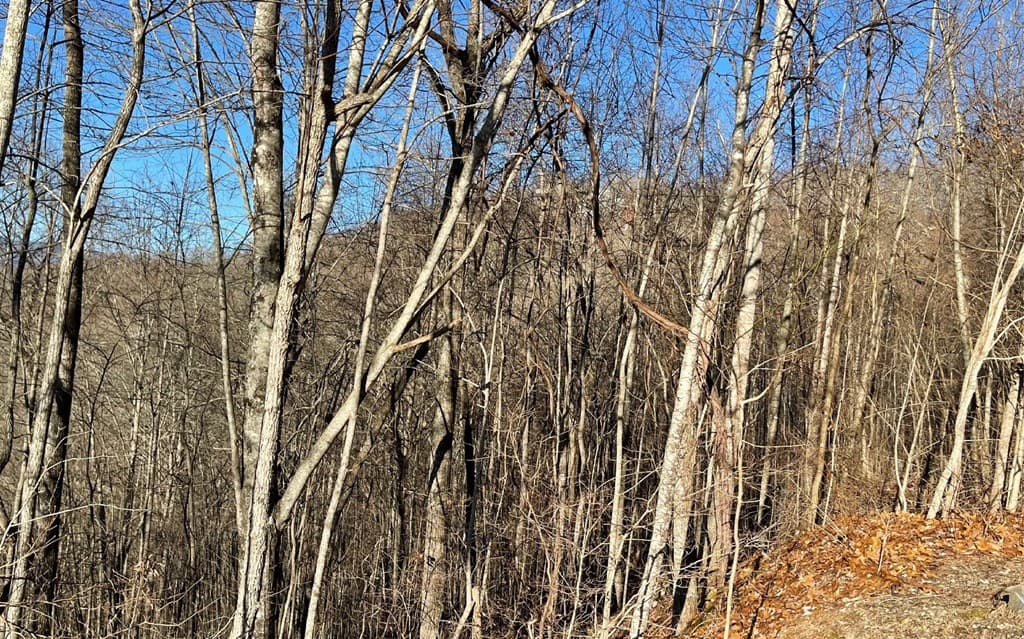 Lot 63 Dan Knob, Hayesville NC 28904 - Photo