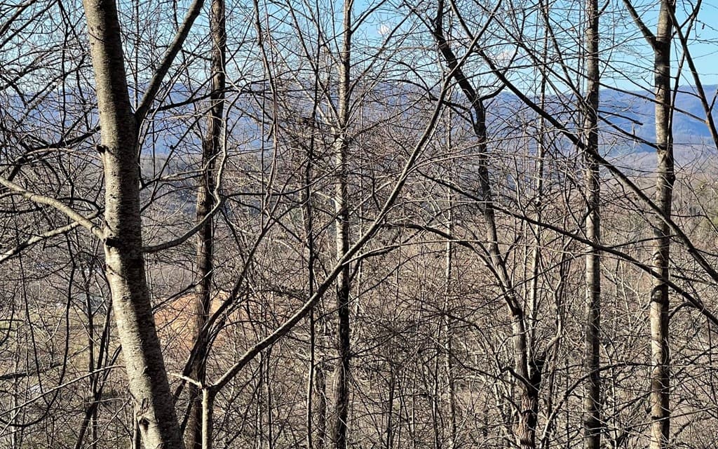 Lot 63 Dan Knob, Hayesville NC 28904 - Photo