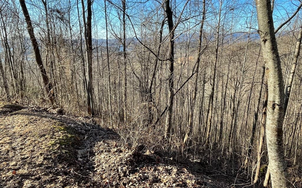 Lot 63 Dan Knob, Hayesville NC 28904 - Photo