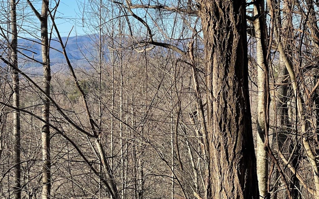 Lot 63 Dan Knob, Hayesville NC 28904 - Photo