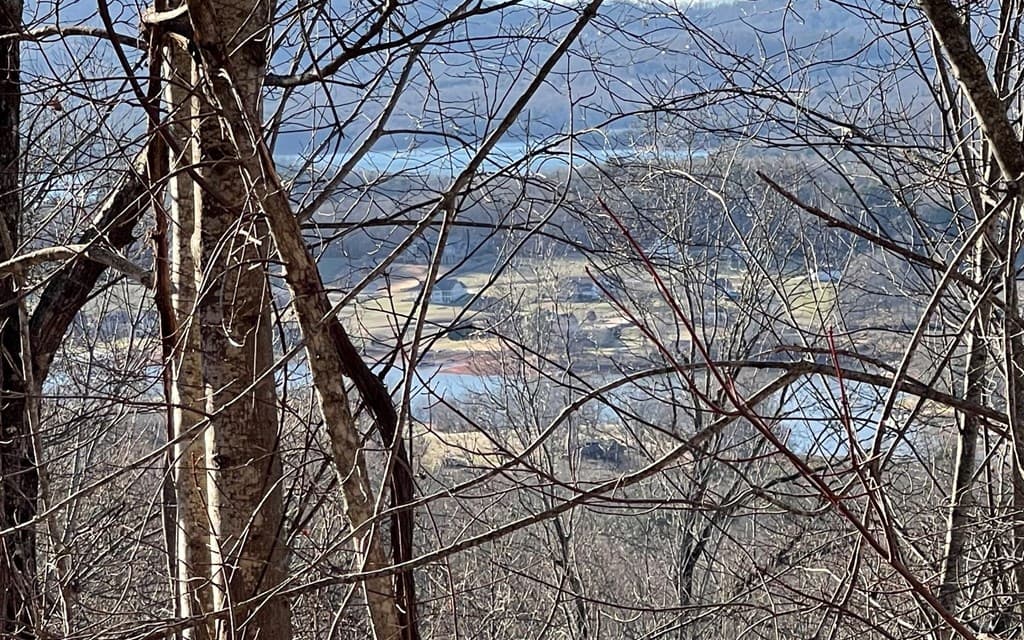 Lot 63 Dan Knob, Hayesville NC 28904 - Photo