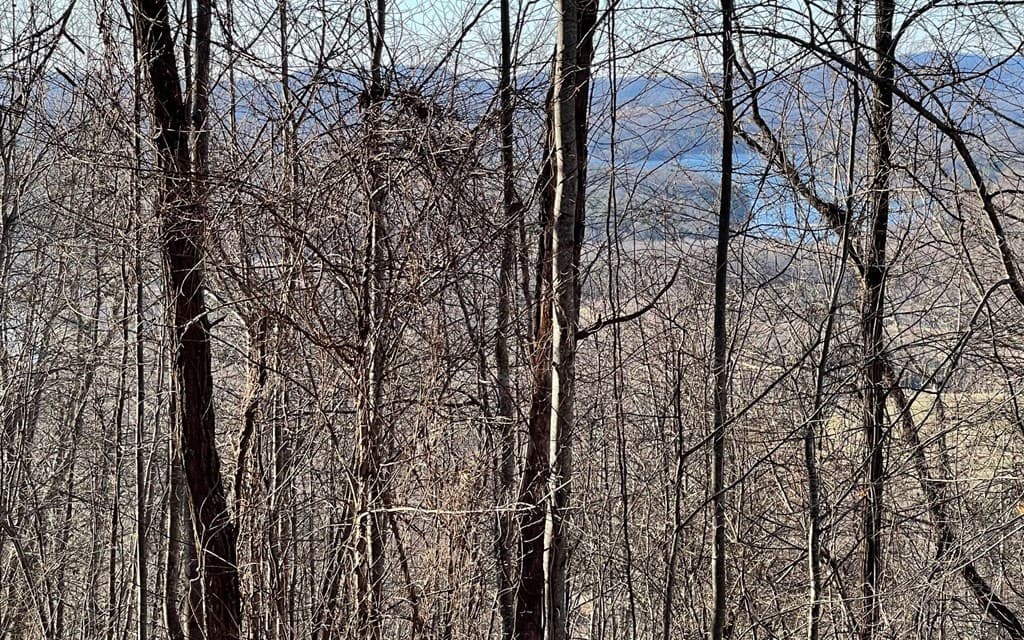 Lot 63 Dan Knob, Hayesville NC 28904 - Photo
