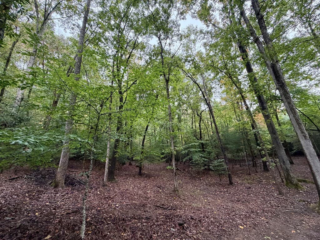 Lot 5 Ludlum Lane, Hayesville NC 28904 - Photo