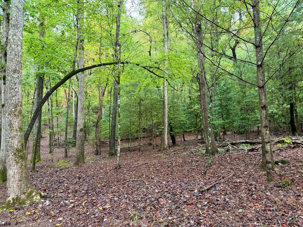 Lot 5 Ludlum Lane, Hayesville NC 28904 - Photo