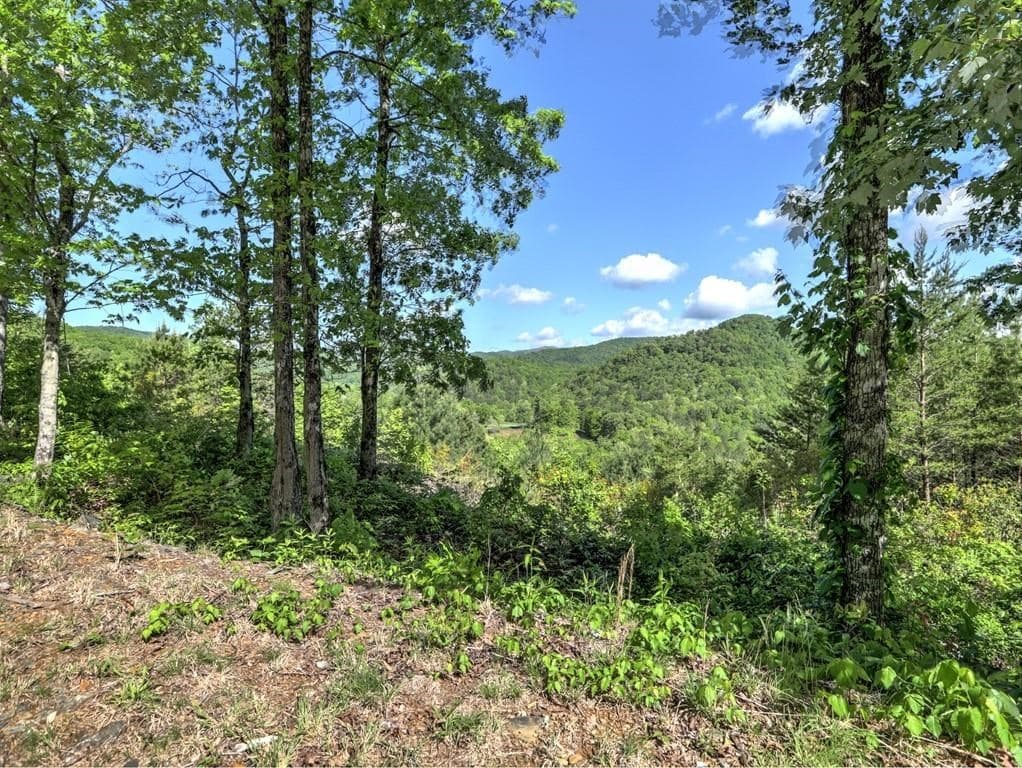 0 Bent Grass Way, Clayton GA 30525 - Photo