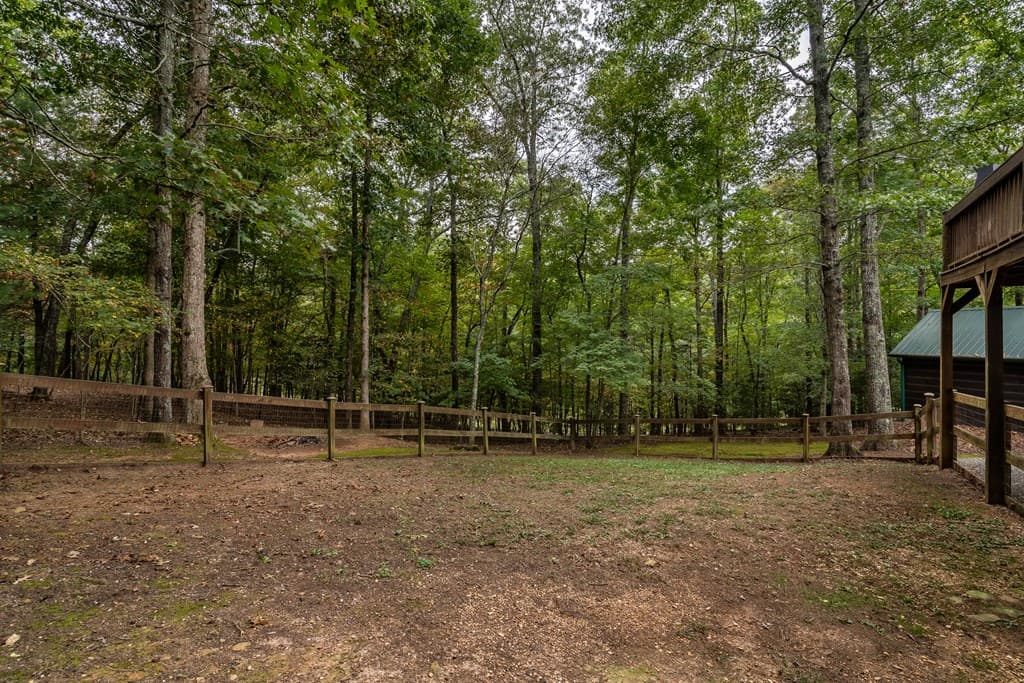 1994 Douthit Road, Mineral Bluff GA 30559 - Photo