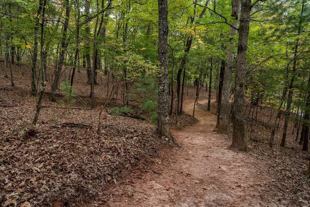 1994 Douthit Road, Mineral Bluff GA 30559 - Photo