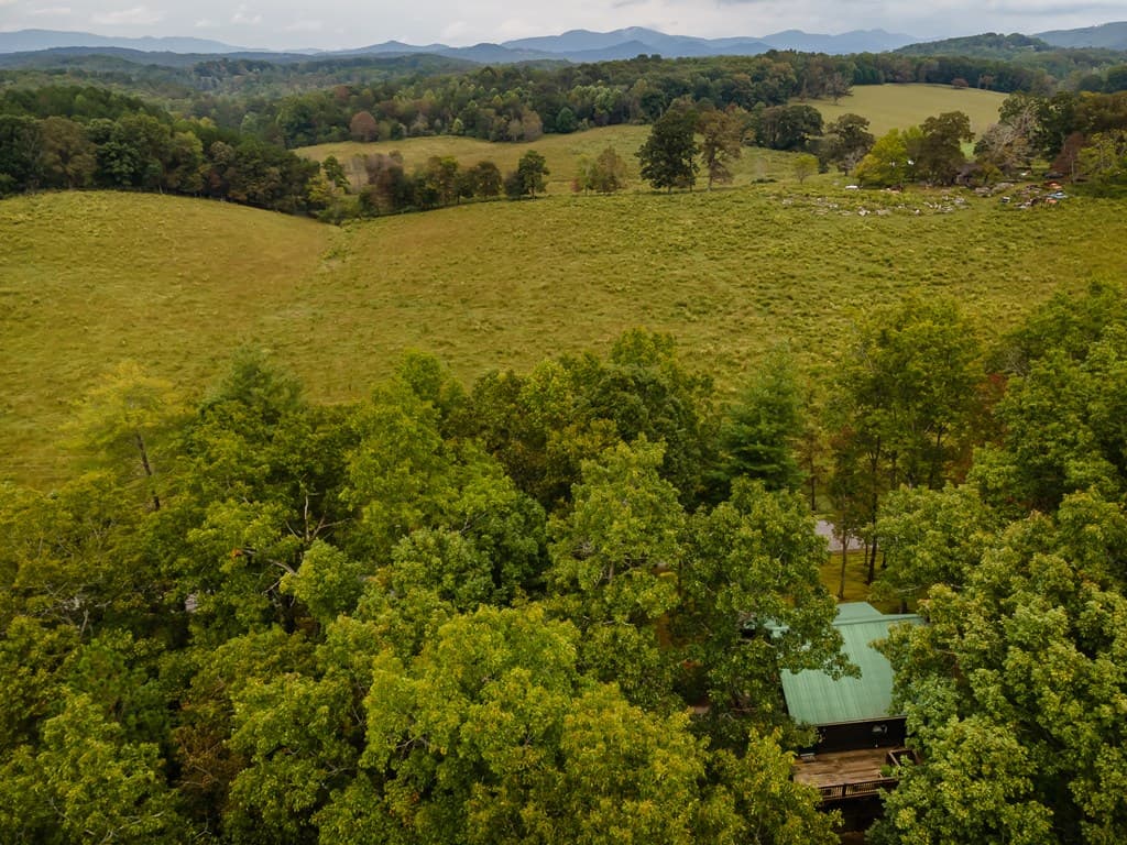 1994 Douthit Road, Mineral Bluff GA 30559 - Photo